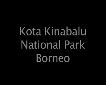 Kota Kinabalu National Park Borneo