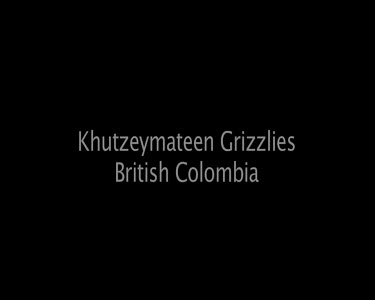 Khutzeymateen Grizzlies British Columbia