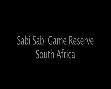 Sabi Sabi Game Reserve South Africa