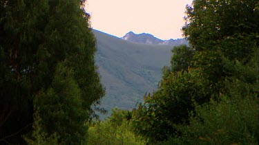 View through trees to mountains with a peak rising behind them