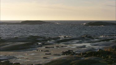 Medium group of grey seals and birds in the swedish archipelago.