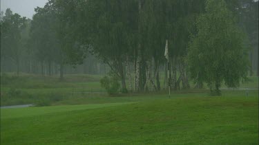 A close up of a golf green in the rain.