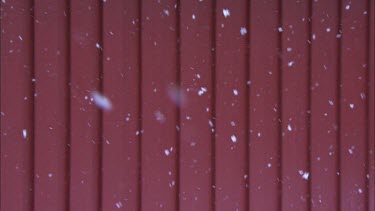 Heavy snow fall with red wall as a background