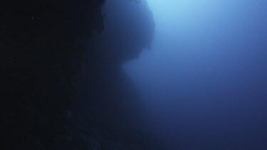 Low angle looking up at ledge in ocean. Feels like deep in abyss or chasm. Contrast light and darkness. Sunlight filtering into ocean, shadow beneath the ledge.