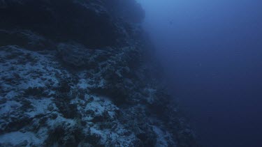 Dark ocean shot. Edge of continental shelf or coral drop off with deep ocean to the side. Contrast between light and dark.