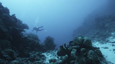 Rocky seabed, seafloor. Some coral. Shallow waters. Scuba diver swims past.