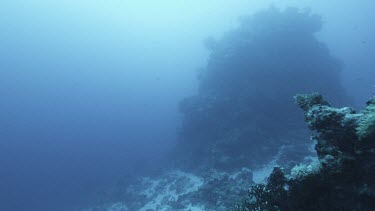 Rocky outcrop shallow waters.