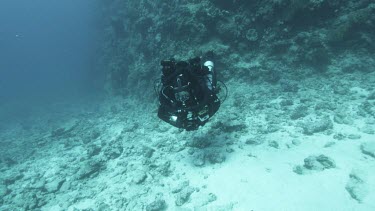 Ocean plate with scuba diver swimming along seabed coral reef. Coral floor littered with coral debris.