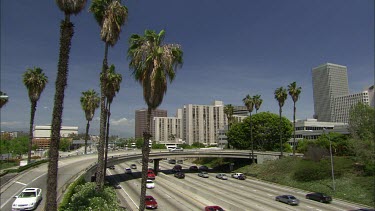 Palm trees and highways. Highways and office buildings, downtown Los Angeles,
