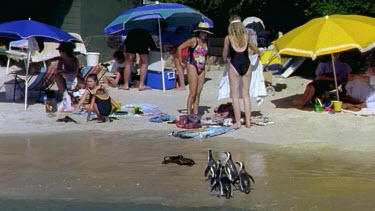 penguins arrive on public beach, people in the background setting out towels
