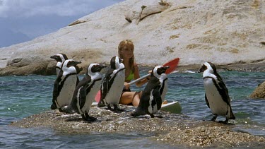 Penguins on rocks watch canoeist go by.