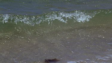 wave gently arrives on beach