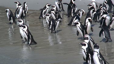 group to sea