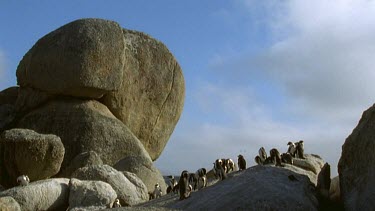 Clouds blowing over penguins resting on large boulders