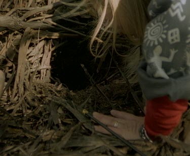 Scientist looking into burrow, for tagged echidna.