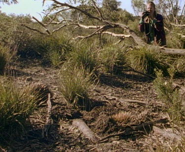 Scientist photographing and observing echidna train.