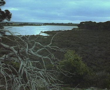 Pelican lagoon Kangaroo Island