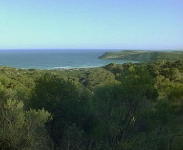 Pennington Bay, Kangaroo Island. Coastal foliage with sea in bg.