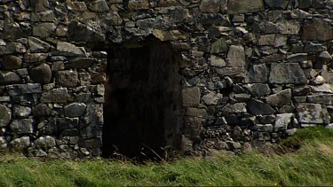 Quirky shot of Irish Pony emerging from ruined castle Connemara, West Coast Ireland.  Dry stone wall. Ruins.