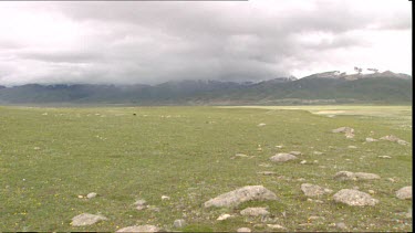 Cold bleak region of northern Tibet, near Nagchu. Approx 4500 metres above sea level