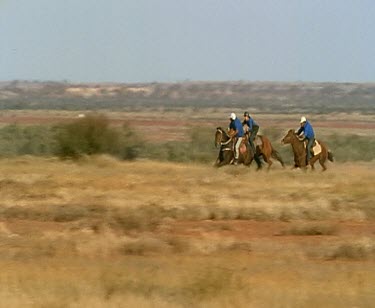 Horse racing in outback. Stalls. Pony races. Running with horses ponies. Rural