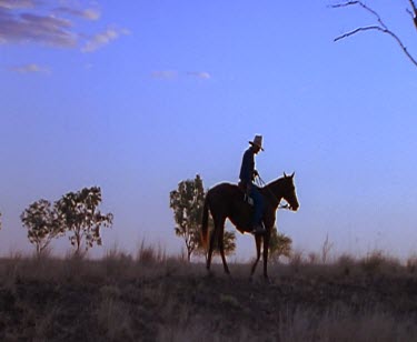 Stockman farmer riding in outback. Silhouette.
