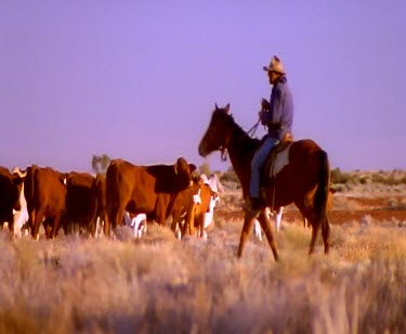 Cattle station