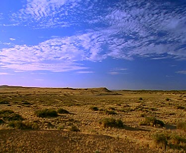Pan desert landscape and four wheel-drive 4x4. Dust