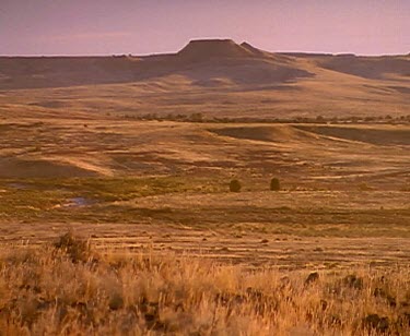 Desert outback landscape