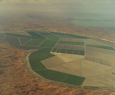 Patchwork quilt of irrigated farming on flat desert plain. Lake in distance