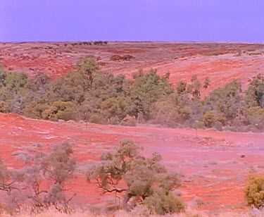 Desert red earth