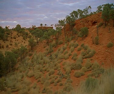 Outback desert red rocky landscape ridge line of mountain. sunset pink and blue clouds