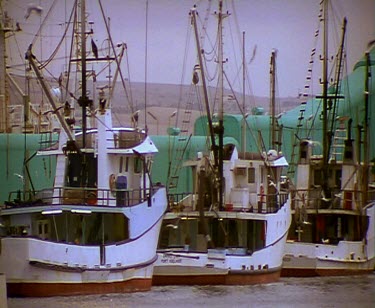 Small commercial fishing boats docked in harbour port. Lots of seagulls flying around.