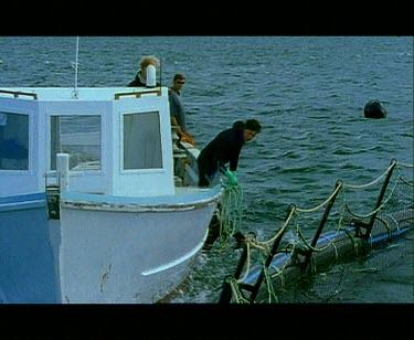 Boat pulls up alongside Blue fin tuna nets. Diver gets off boat.