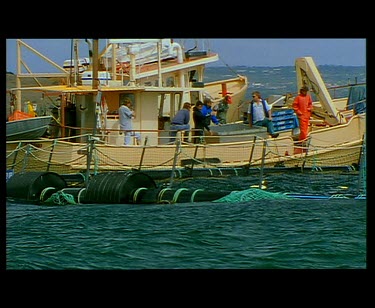 Blue Fin Tuna fishing