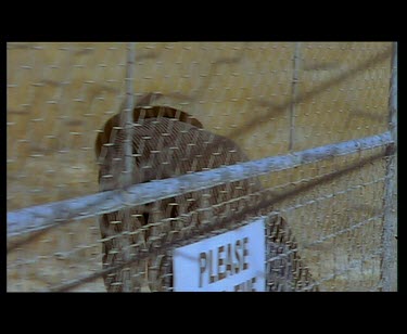 Man shutting gate with sign that reads "Please Shut the Gate". Dingo Fence.