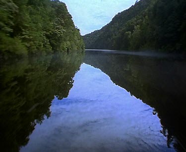 Franklin River and forest