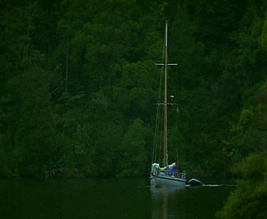 Yacht cruising up still river rainforest on banks.