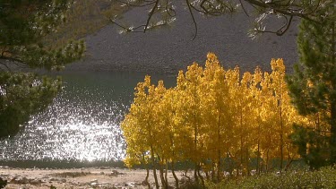 Fall colour against a sparkling lake