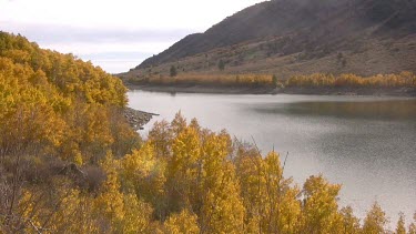 Fall colour against a pristine  lake