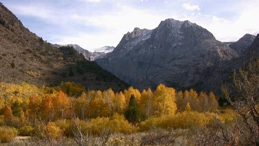 Fall forest belt against canyon and tower peaks
