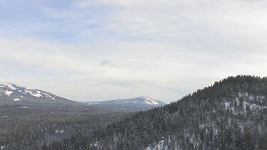 Mountains and thick forest in winter