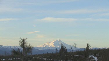 Majestic Mt. Shasta in winter, framed in colored sky and pines