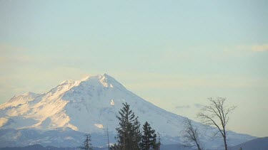 Majestic Mt. Shasta in winter, framed in colored sky and pines