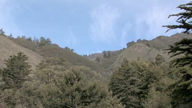 Big Sur coastal mountains and forest