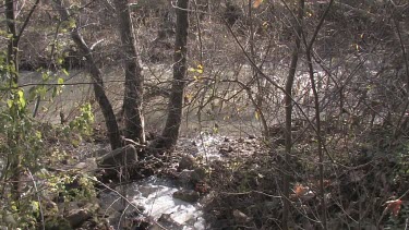 A stream pours into a California river