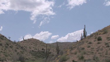 Saguaro and desert brush on hillside with clouds and blue sky