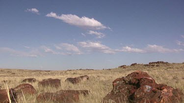 Grassy desert prairie plains with blue sky, clouds, and petrified log fragments