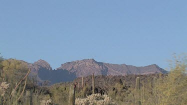 Desert valley with saguaro, desert brush, blue sky, distant rocky hills and mountains