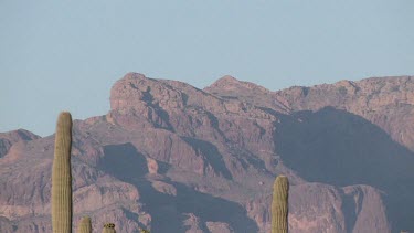 Desert valley saguaro with distant mountains